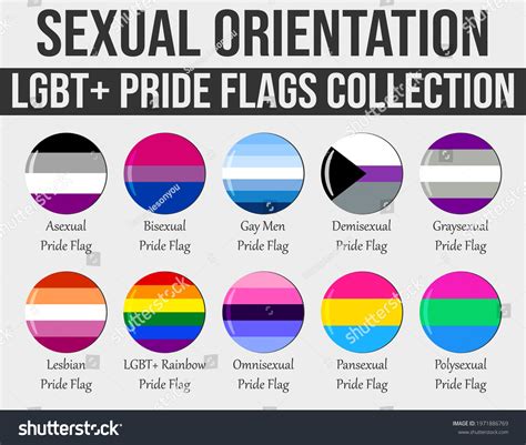 omnisexual define|Omni (orientation)